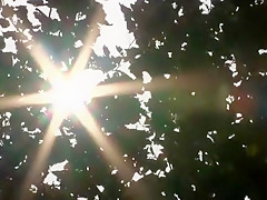 Horny Japanese girl Yui Akane in Crazy Blowjob, Fingering JAV scene