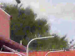 Exotic Japanese chick in Best Doggy Style, Cunnilingus JAV movie