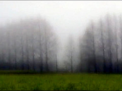 93-SS ← Feet Fetish Dream Theater