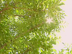 Amazing Japanese girl Risa Murakami in Crazy small tits, oldie JAV scene