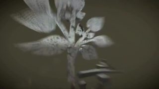 Boarding House 2 (Film)