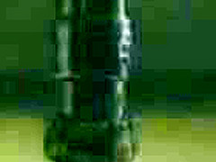 섹x교주의 여인들