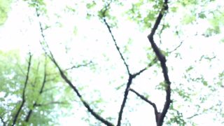 Fabulous Japanese model Rola Takizawa in Exotic couple, blowjob JAV movie