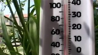 Hard Anal for the Enjoyable Lyla.