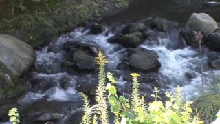 Horny Japanese chick Hitomi Inoue, Azumi Yukino, Kurea Hasumi, Ruka Kanae in Fabulous showers, group sex JAV clip