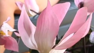 Hottest Japanese chick in Amazing Blowjob, Big Tits JAV scene