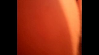 MOV 0135